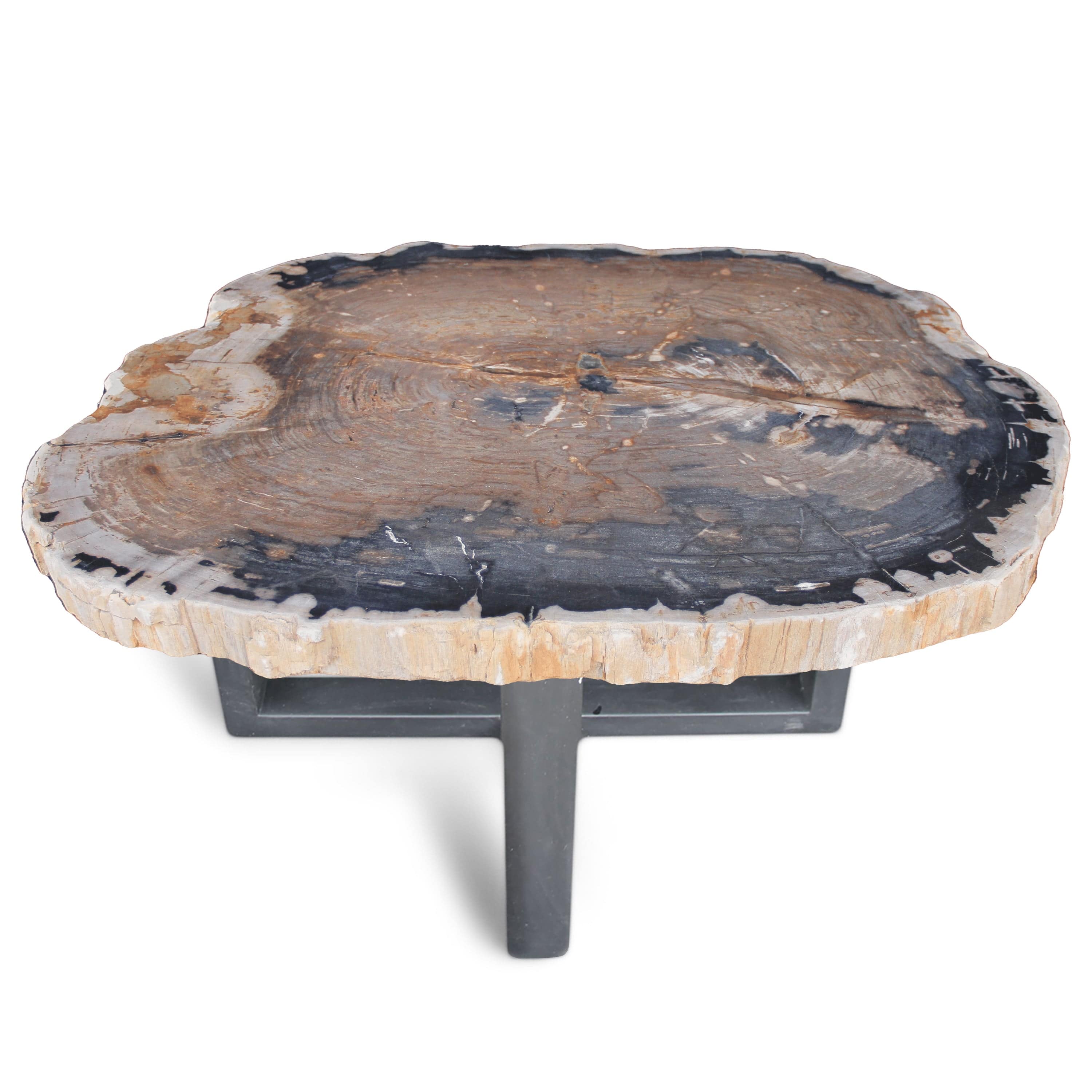 Kalifano Petrified Wood Polished Petrified Wood Coffee Table from Indonesia - 40" / 223 lbs PWT8080.002