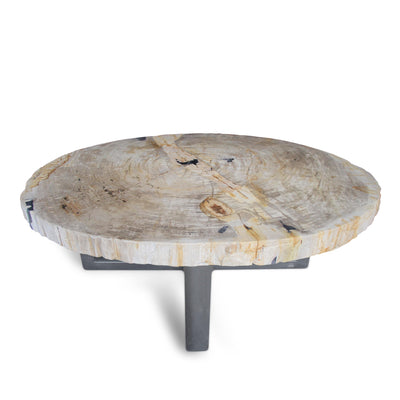 Kalifano Petrified Wood Polished Petrified Wood Coffee Table from Indonesia - 48" / 280 lbs PWT10160.002