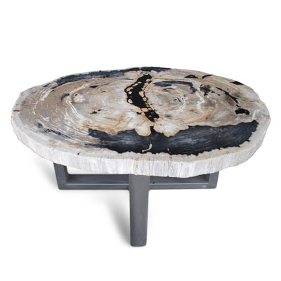 Kalifano Petrified Wood Polished Petrified Wood Coffee Table from Indonesia - 48" / 328 lbs PWT11920.002