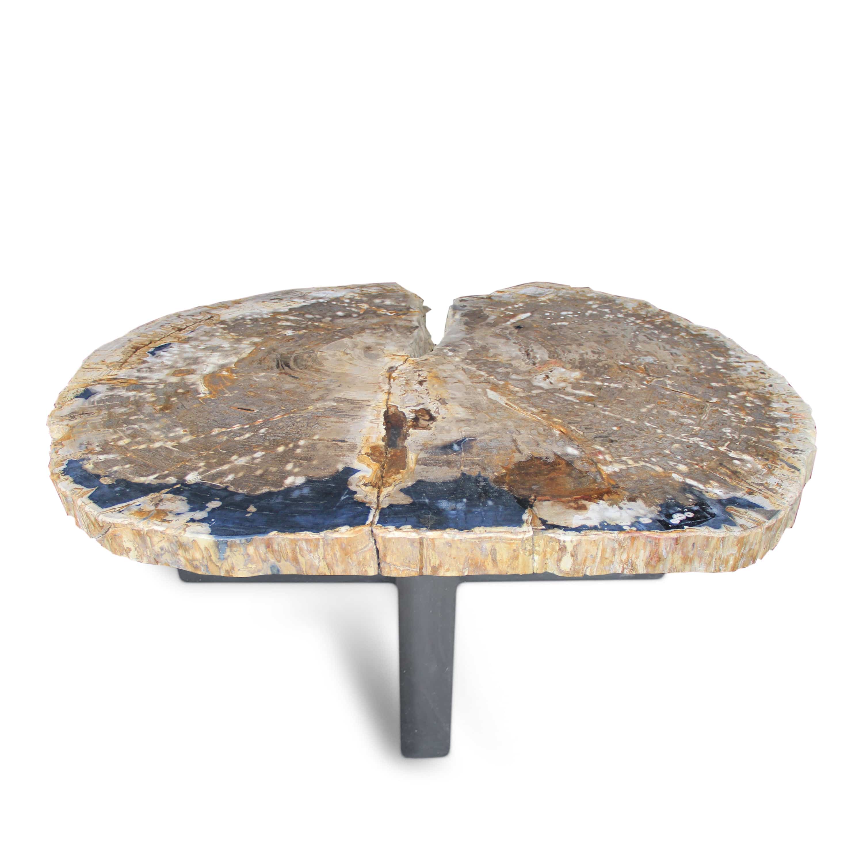 Kalifano Petrified Wood Polished Petrified Wood Coffee Table from Indonesia - 54" / 397 lbs PWT14400.002