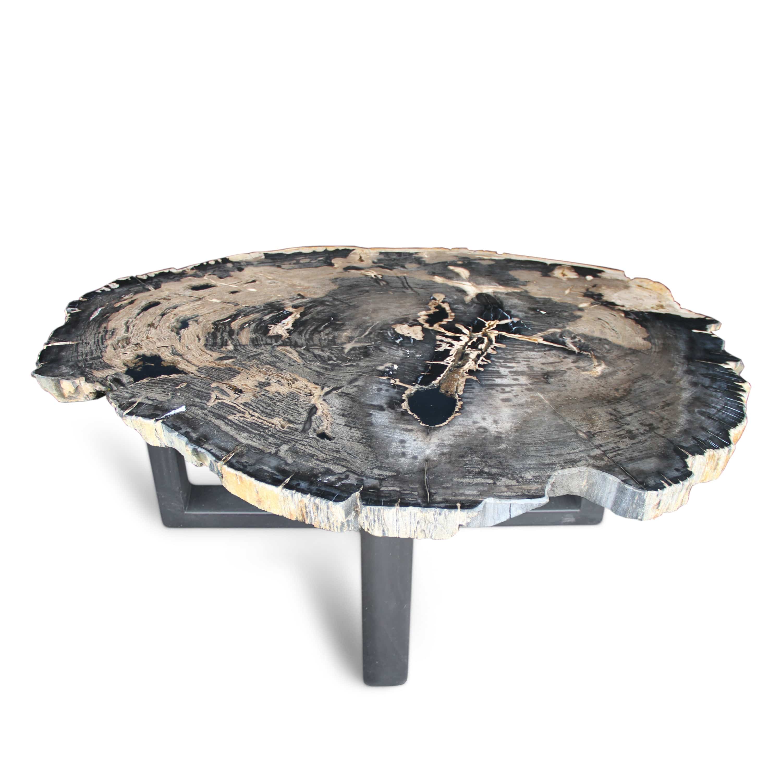 Kalifano Petrified Wood Polished Petrified Wood Coffee Table from Indonesia - 58" / 335 lbs PWT12160.002