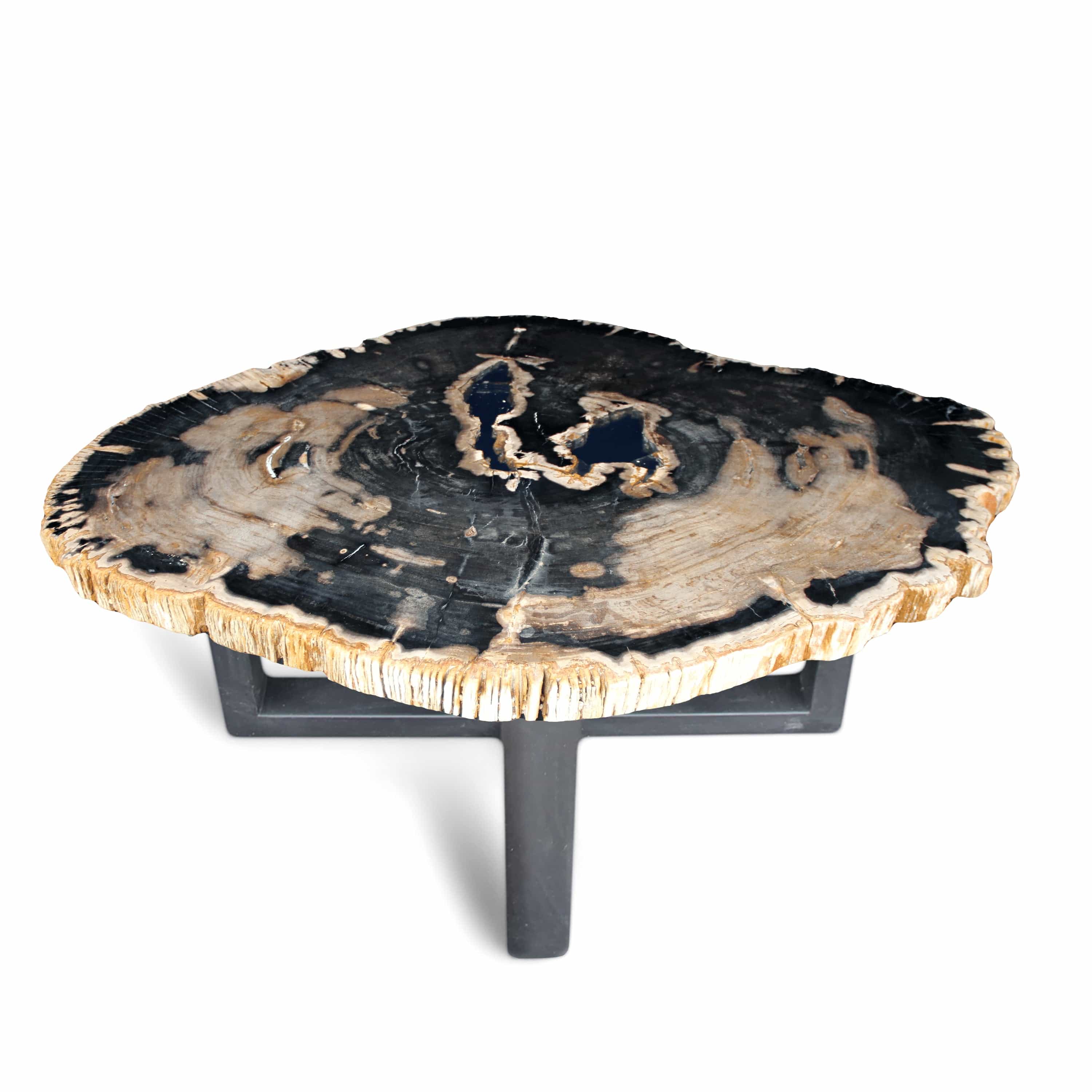 Kalifano Petrified Wood Polished Petrified Wood Coffee Table from Indonesia - 62" / 353 lbs PWT12800.001