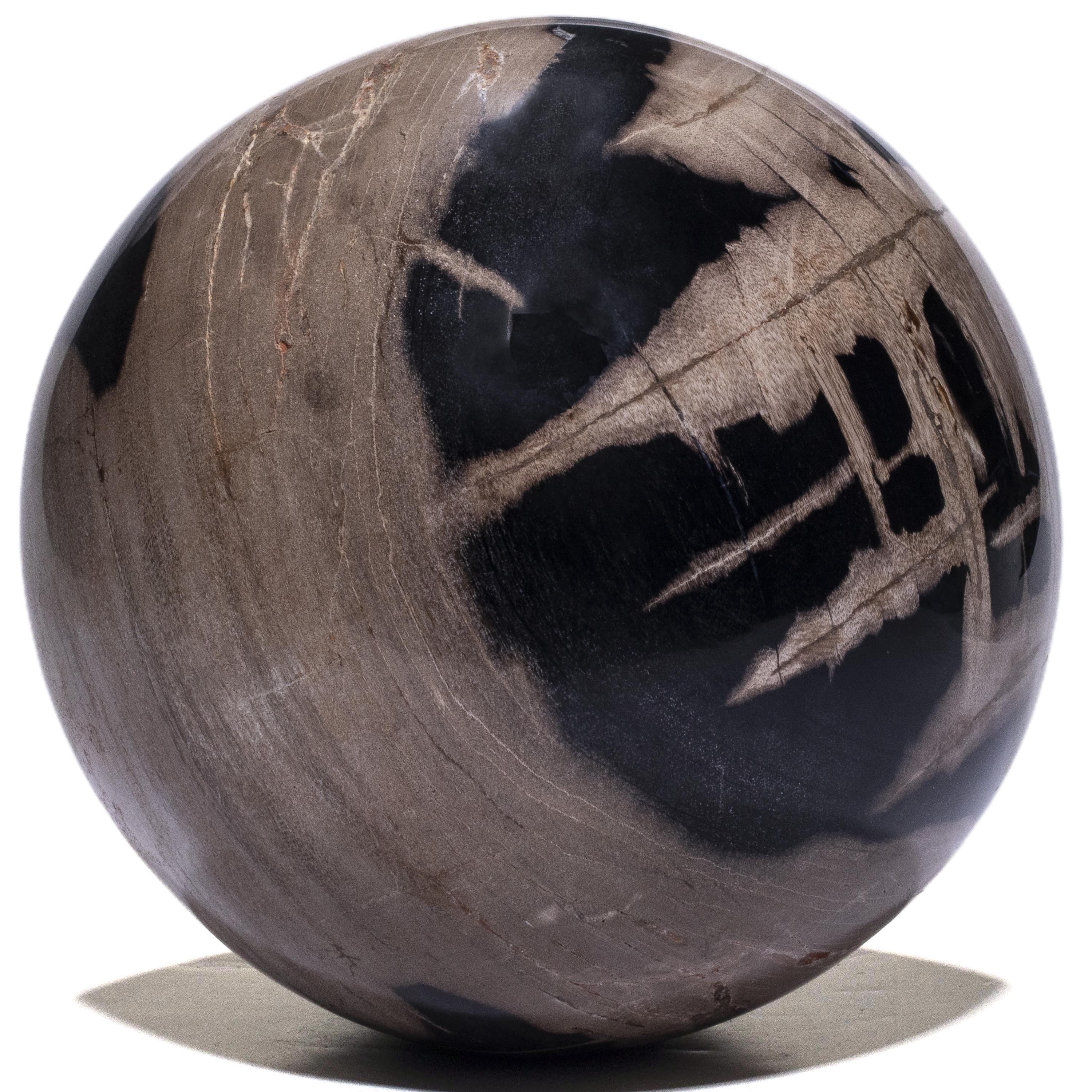 Kalifano Petrified Wood Polished Petrified Wood Sphere from Indonesia - 10" / 46 lbs PWSP-10