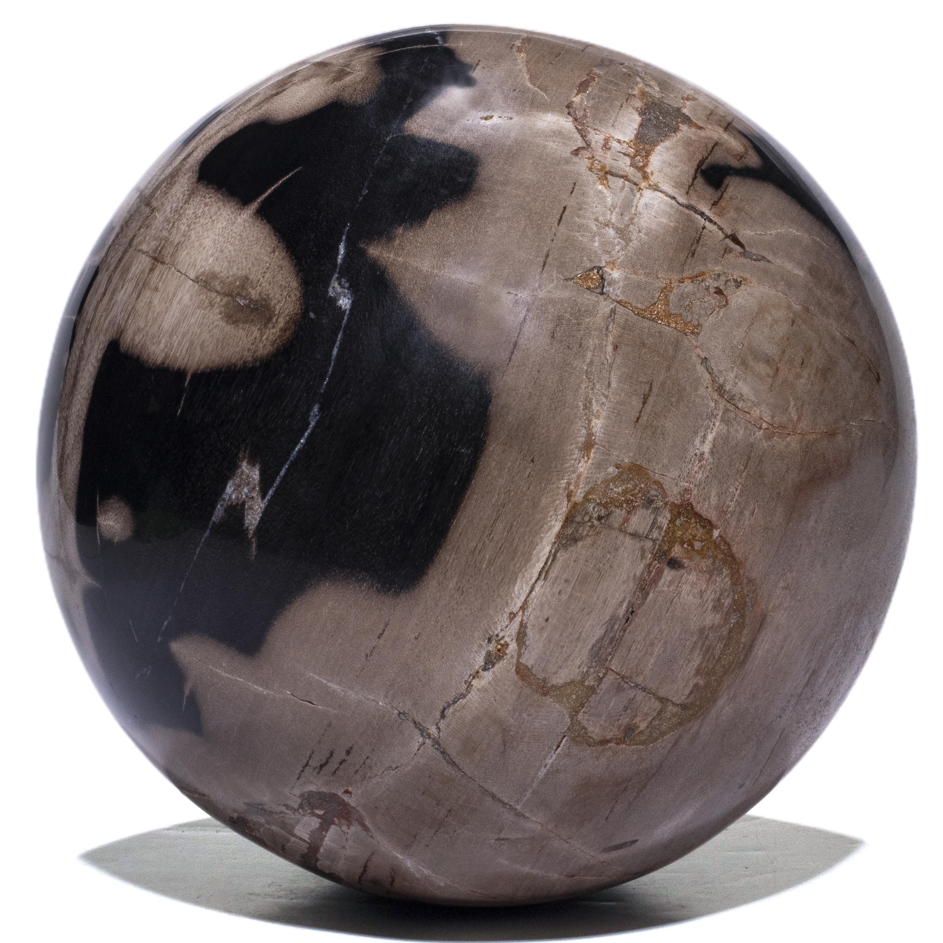 Kalifano Petrified Wood Polished Petrified Wood Sphere from Indonesia - 10" / 46 lbs PWSP-10