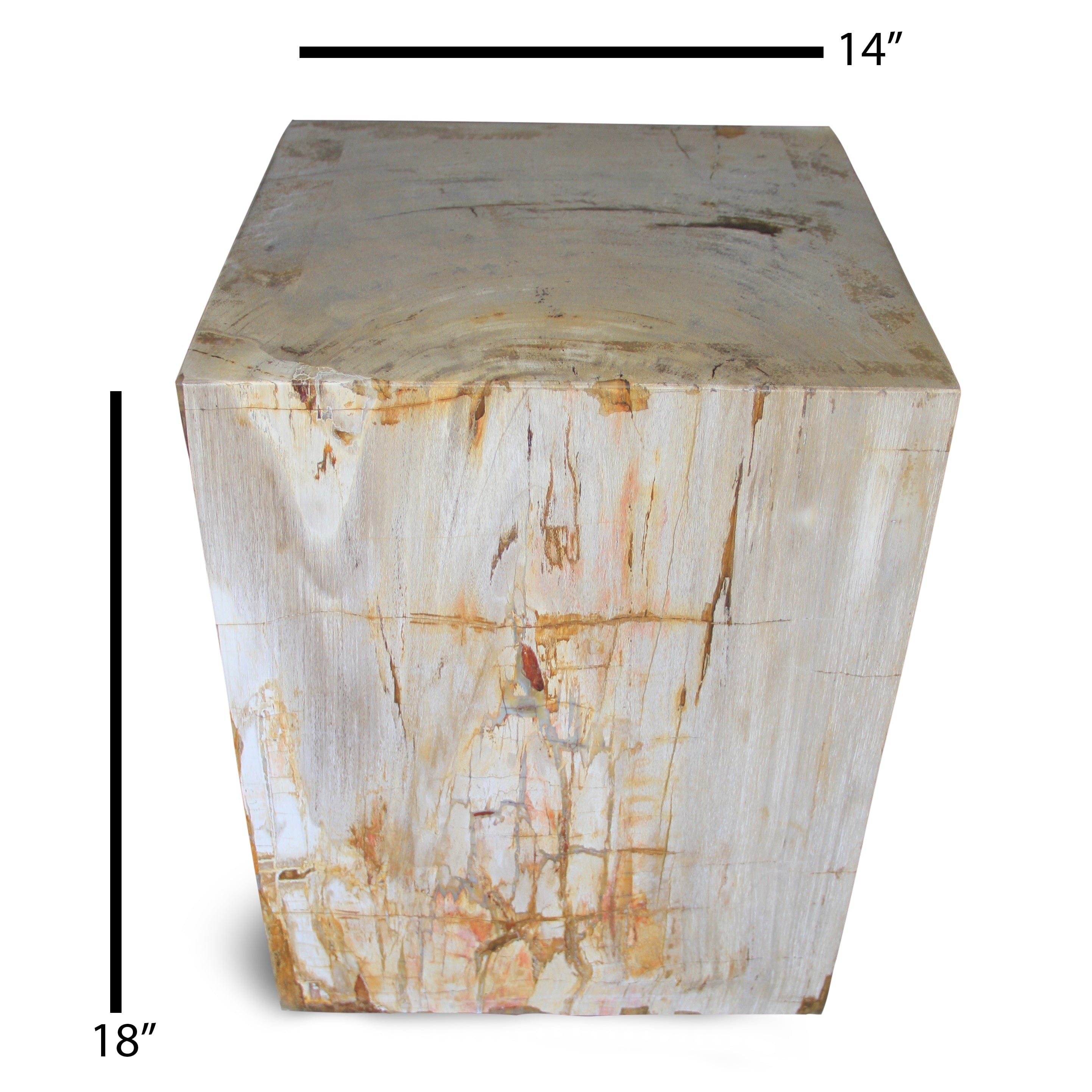 Kalifano Petrified Wood Polished Petrified Wood Square Stump from Indonesia - 18" / 309 lbs PWSS8400.001