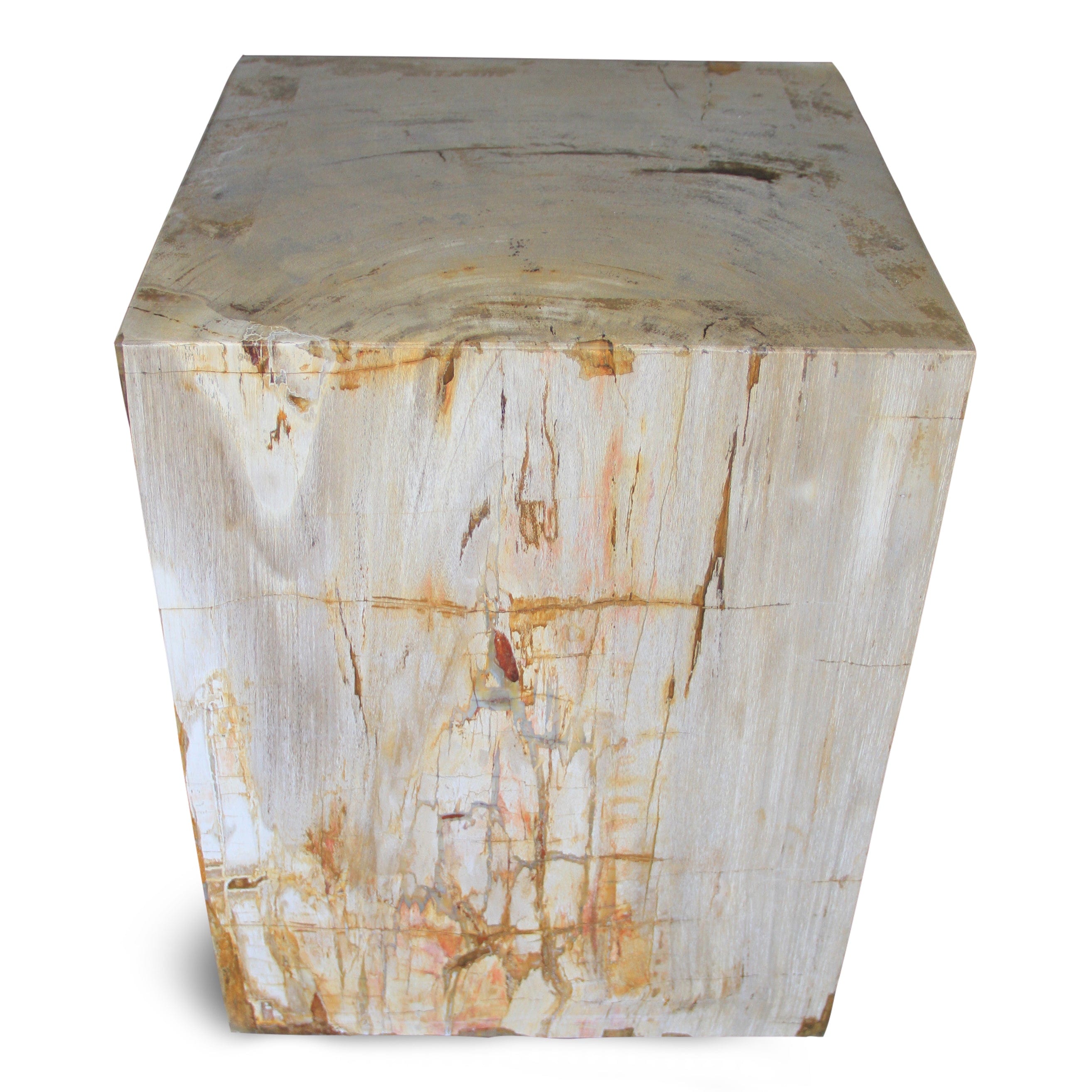 Kalifano Petrified Wood Polished Petrified Wood Square Stump from Indonesia - 18" / 309 lbs PWSS8400.001