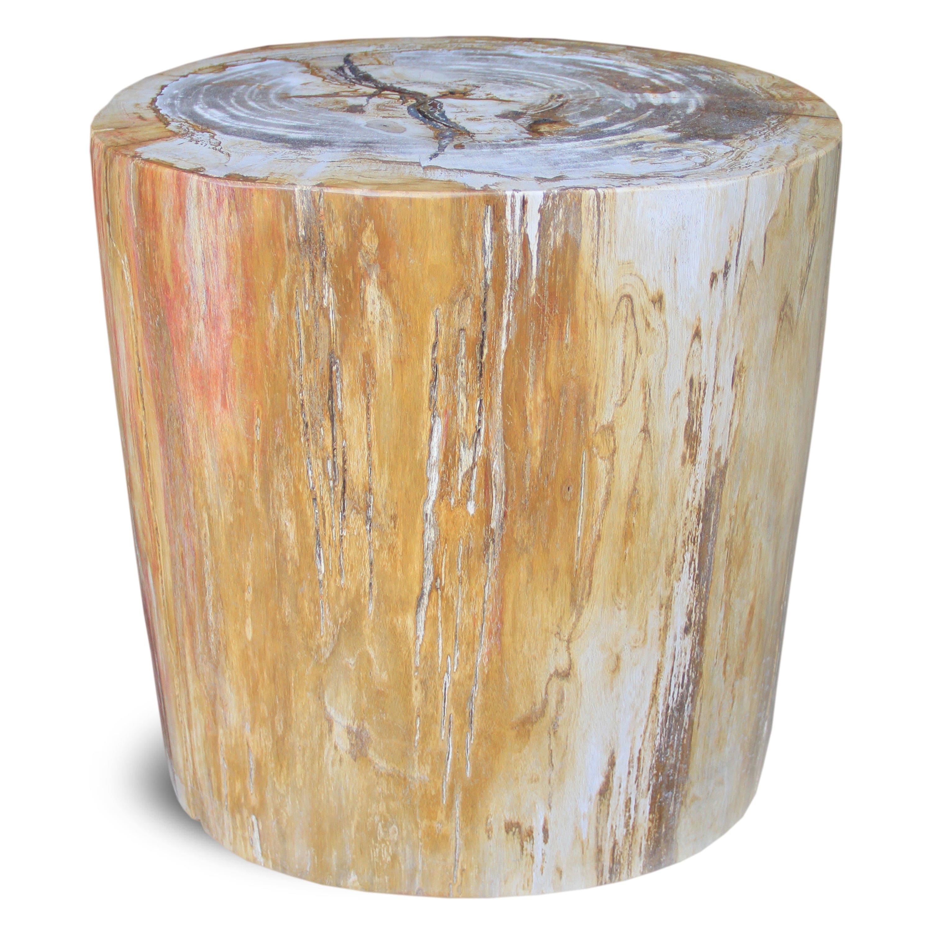 Kalifano Petrified Wood Polished Petrified Wood Stump from Indonesia - 16" / 192 lbs PWS3480.001