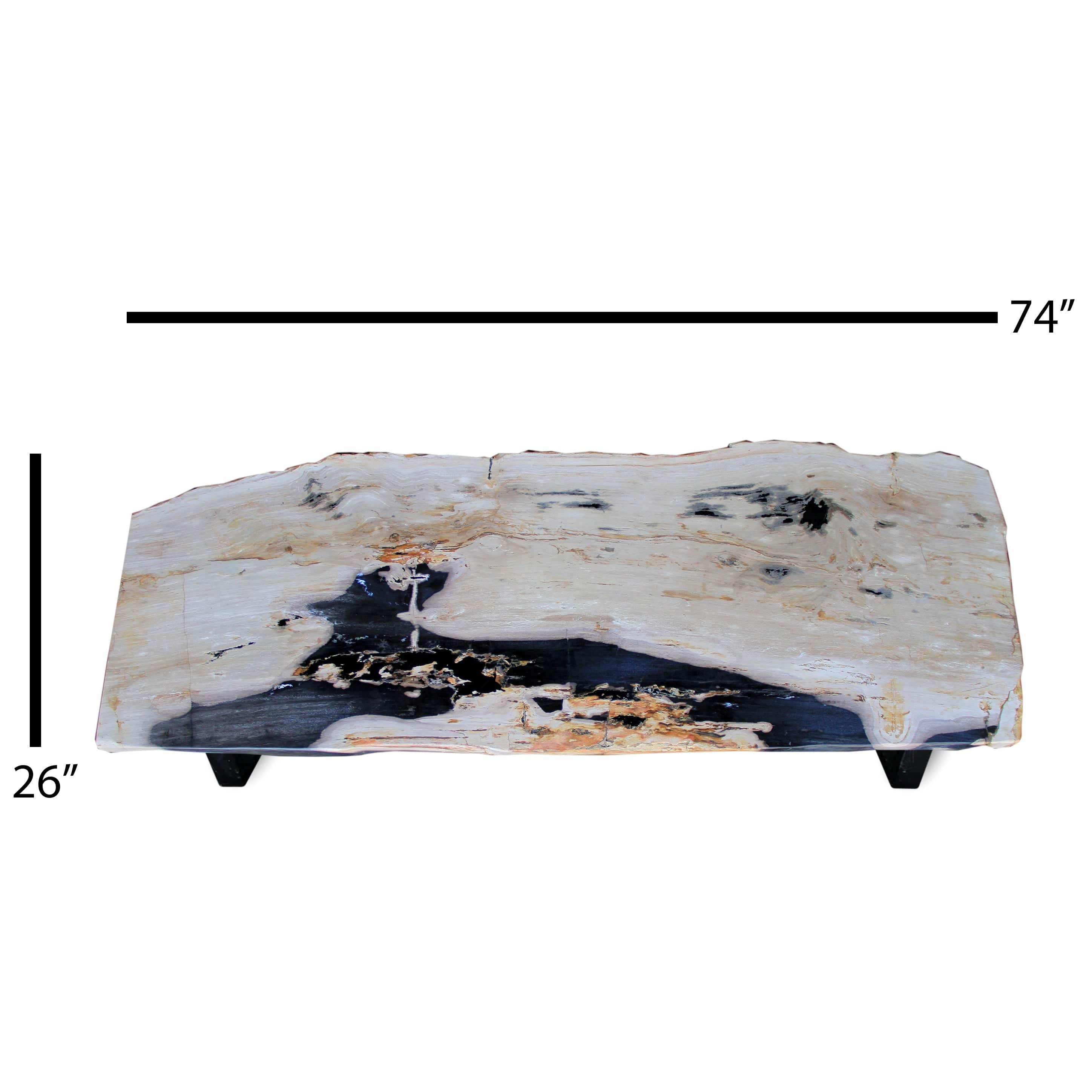 Kalifano Petrified Wood Polished Petrified Wood Table from Indonesia - 74" / 293 lbs PWR10640.001