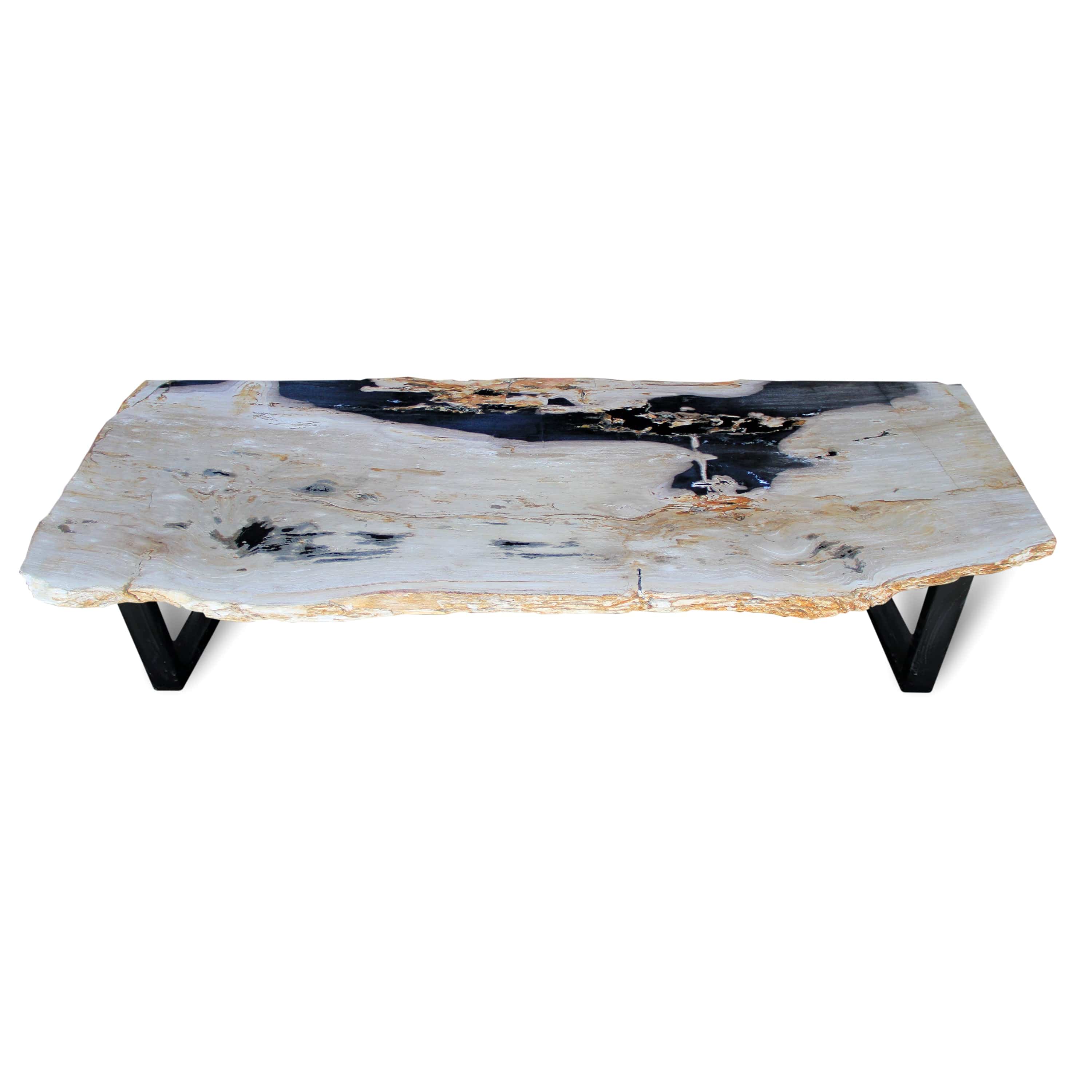 Kalifano Petrified Wood Polished Petrified Wood Table from Indonesia - 74" / 293 lbs PWR10640.001