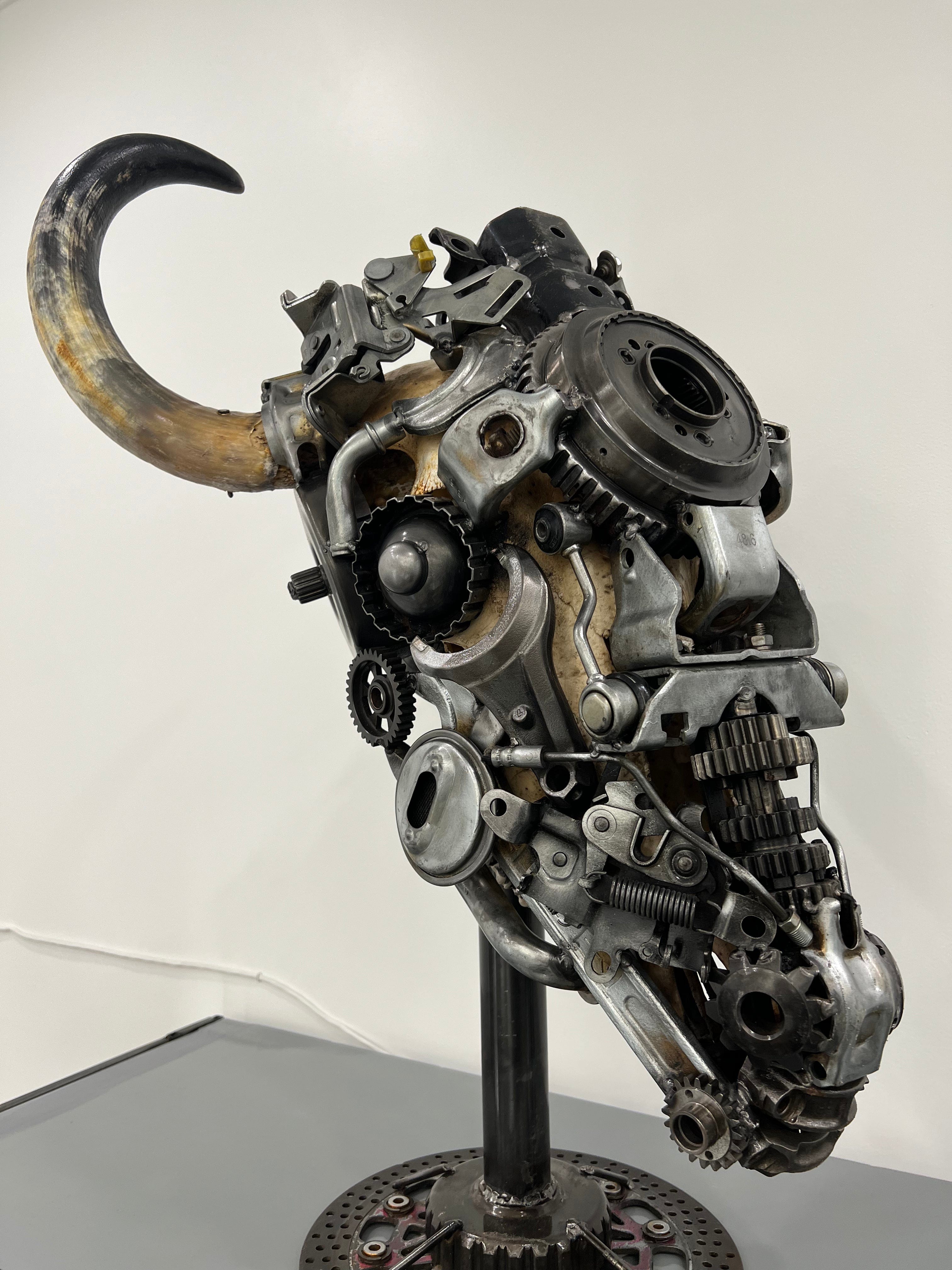 Kalifano Recycled Metal Art Bull Skull Recycled Metal Art Sculpture RMS-BSK-S68
