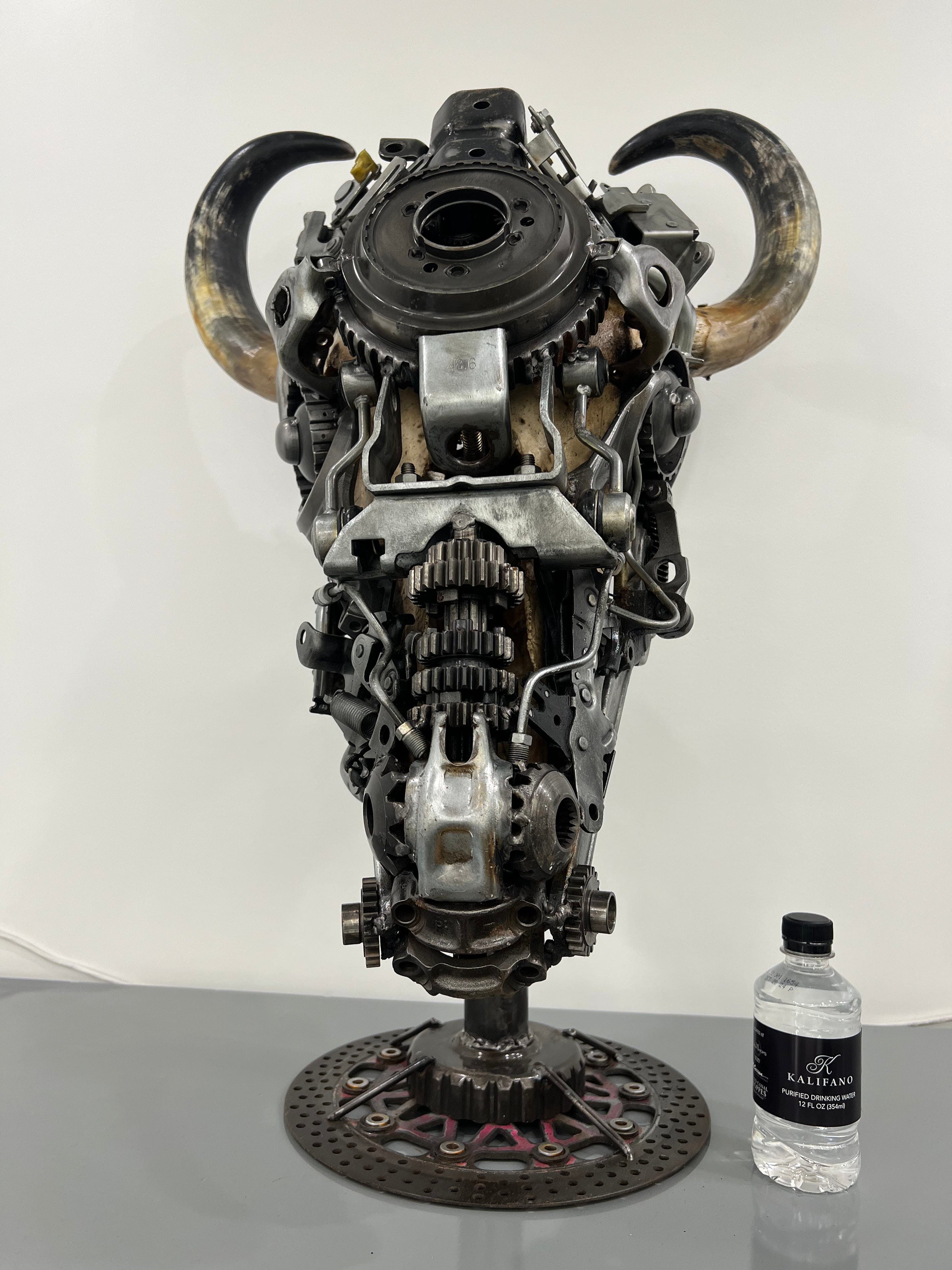 Kalifano Recycled Metal Art Bull Skull Recycled Metal Art Sculpture RMS-BSK-S68