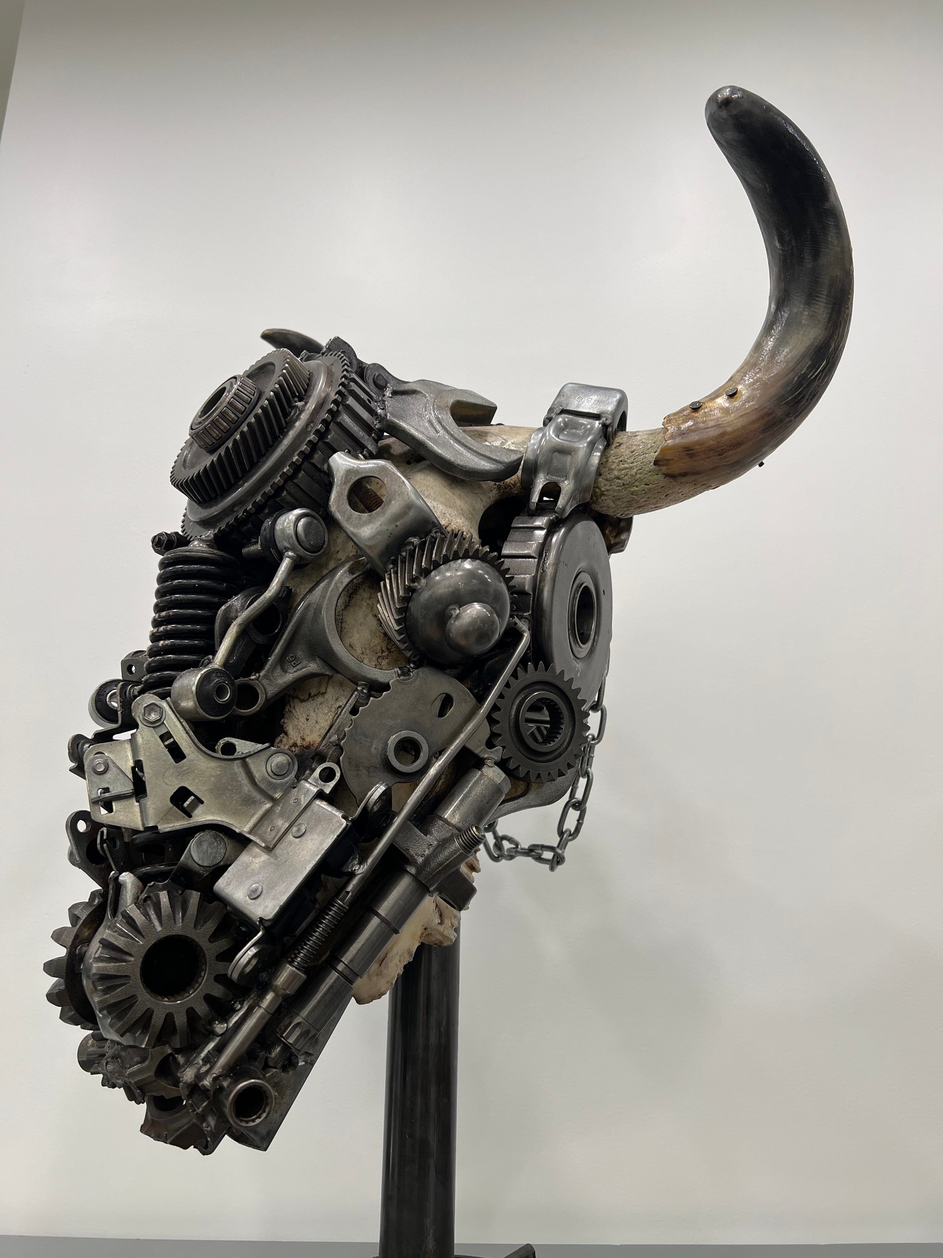 Kalifano Recycled Metal Art Bull Skull Recycled Metal Art Sculpture RMS-BSK-S69