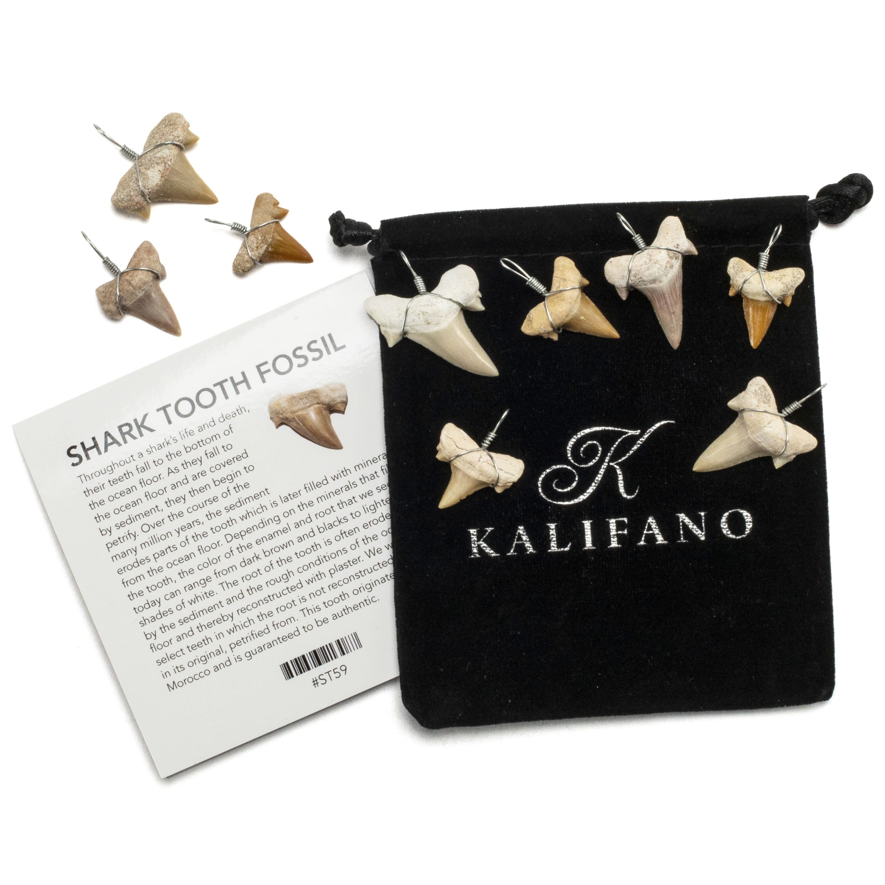 KALIFANO Wire Wrapped Shark Tooth Lot (9 pcs) STN59-12PK